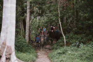 Rafting Glory Adventure Trip (5 Activities)