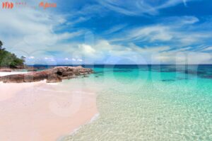 Phi Phi Island Tour (By ONCE)