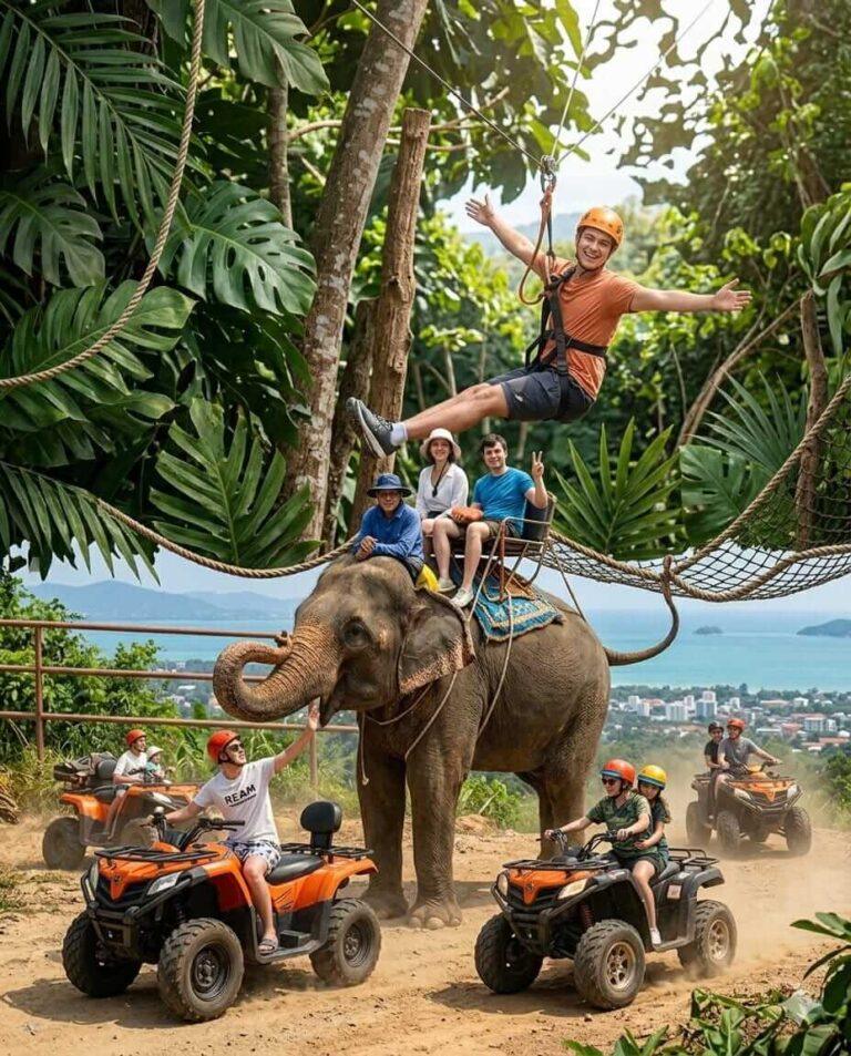 Zipline ATV and elephant activity