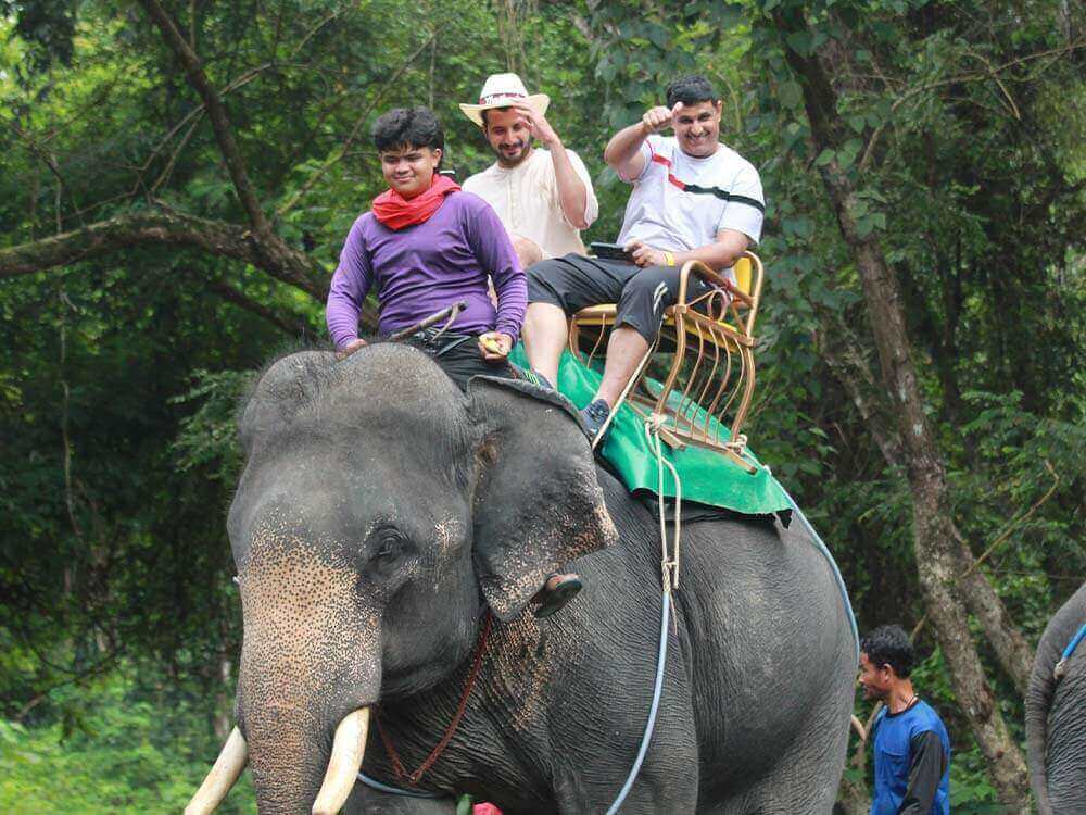 Elephant ride