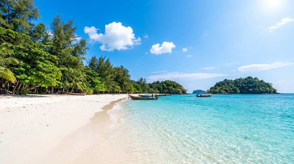 Bamboo Island 